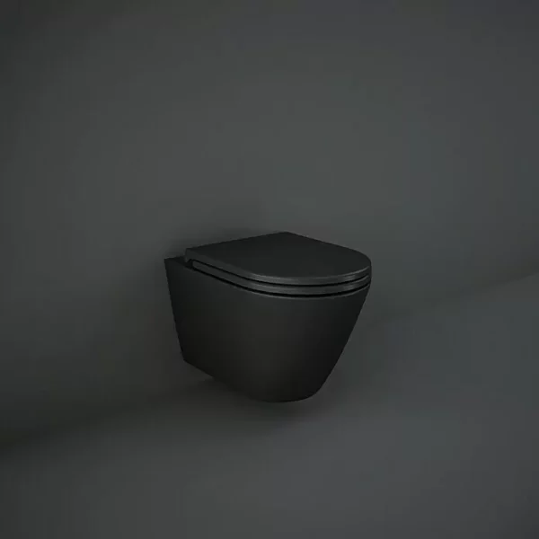 Abattant Lunette de WC Rak Ceramics Feeling Noir